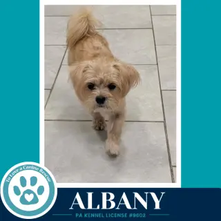 Albany 100326