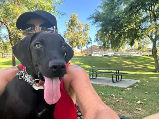 Frida