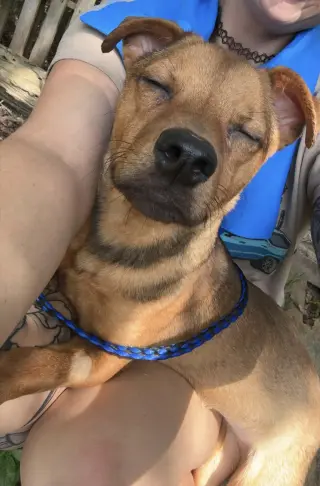 Junior