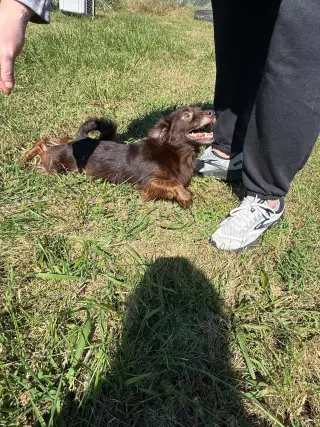 Cocoa