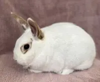 Bernadette