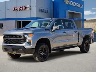 Chevrolet Silverado 1500 2024 4x4 Custom Trail Boss 4dr Crew Cab 5.8 ft. SB
