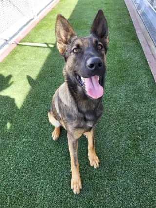 KIRA