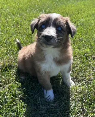 Marty