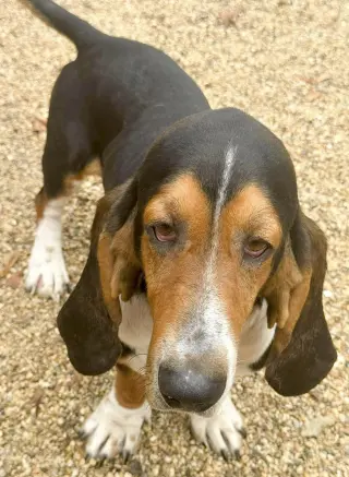 MURPHY