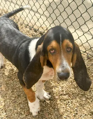 MURPHY