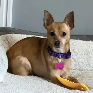 Winnie