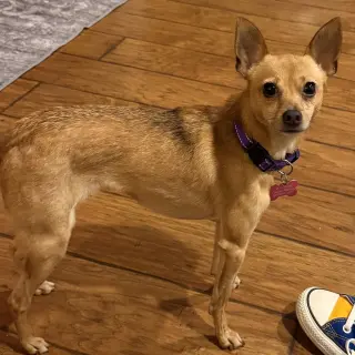 Winnie