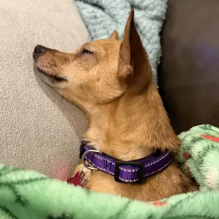 Winnie