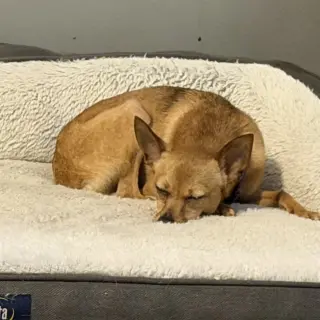 Winnie