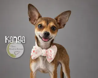 Kanga