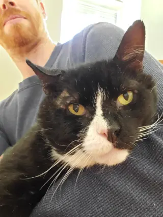 Frankie
