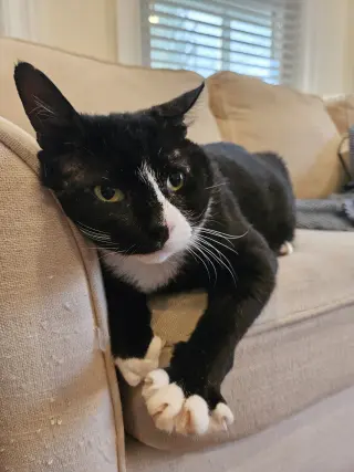 Frankie