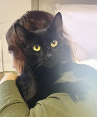 Betty Biscuits