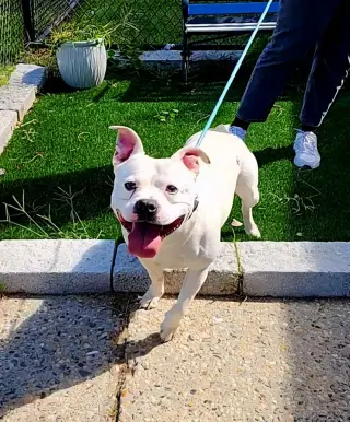 Tito