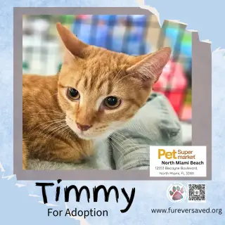 Timmy