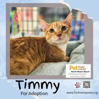 Timmy