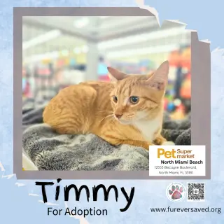 Timmy