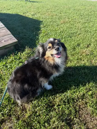 Clyde