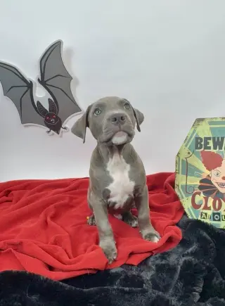 Pennywise
