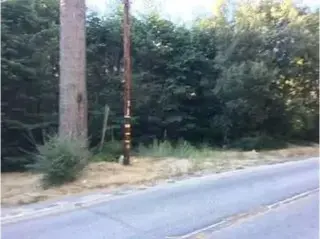 Lot for Tiny Home, RV or Cabin