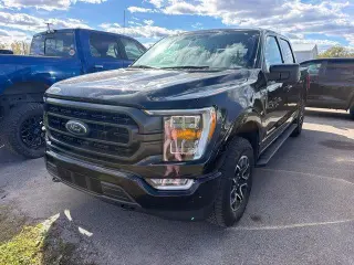 Ford F-150 2022 4x4 XLT 4dr SuperCrew 5.5 ft. SB