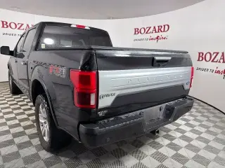 Ford F-150 2020 4x4 Platinum 4dr SuperCrew 5.5 ft. SB