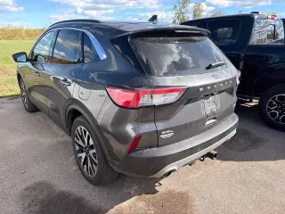 Ford Escape 2020 AWD SEL 4dr SUV