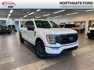 Ford F-150 2023 4x4 XLT 4dr SuperCrew 5.5 ft. SB