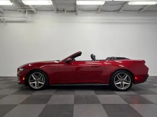 Ford Mustang 2024 EcoBoost Premium 2dr Convertible