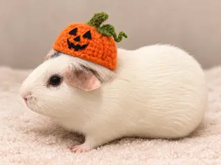 Pumpkin & Banana