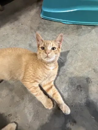 Jeremy