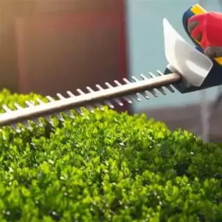 GARDENING SERVICES NEAR YOU