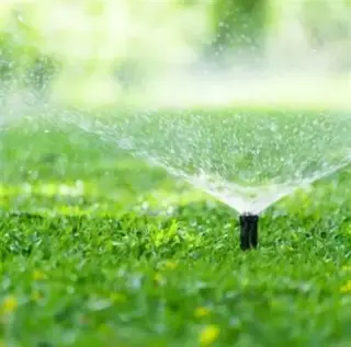GARDENING SERVICES NEAR YOU