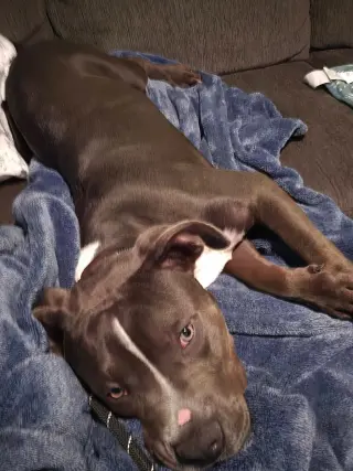 Manchego AKA Manny