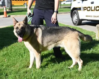 DA 48 Sarge