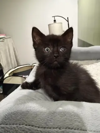 Millie