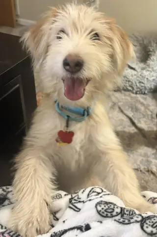 Sammy