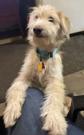 Sammy