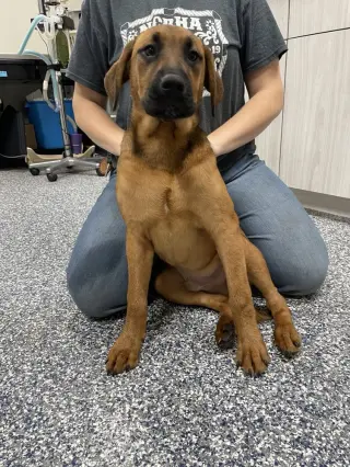 Sam