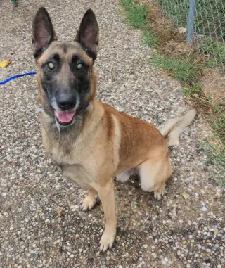 Sig - Located in TX