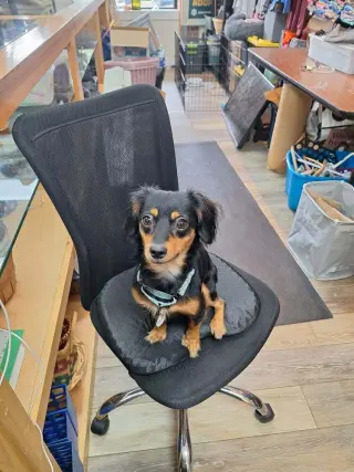 Winnie