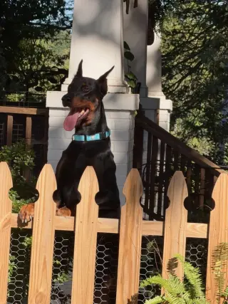 Keiser