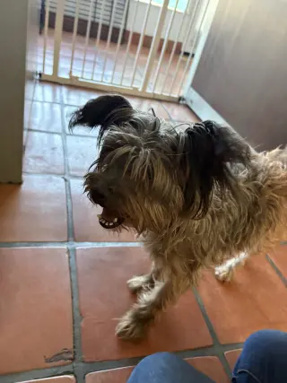 Tuggie