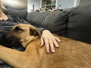 Zeppelin
