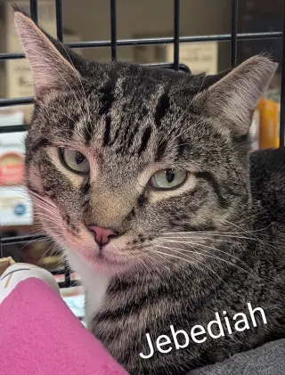 Jebediah