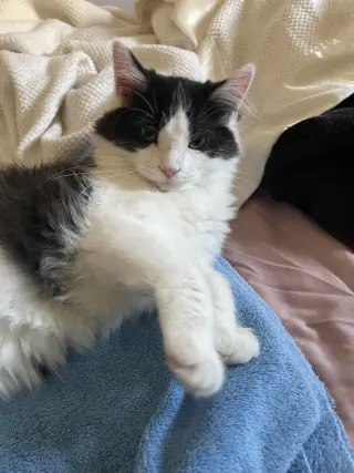 Rigatoni