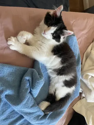 Rigatoni