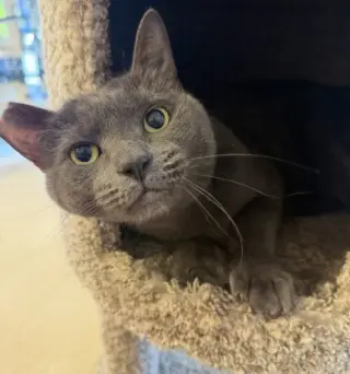 BOO