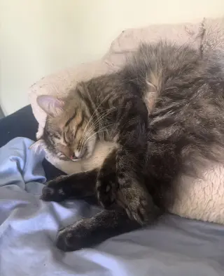 Benny